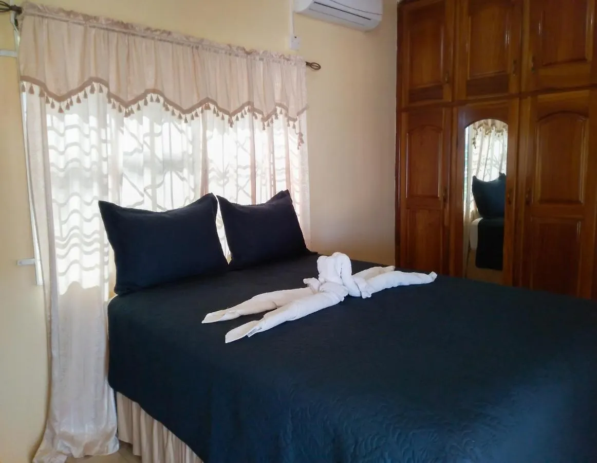 Valentine'S Castle Hotel Saint Annʼs Bay 0*,  Jamaica