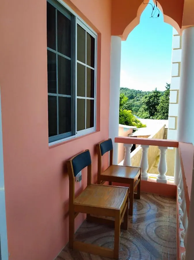 Valentine'S Castle Hotel Saint Annʼs Bay 0*,  Jamaica